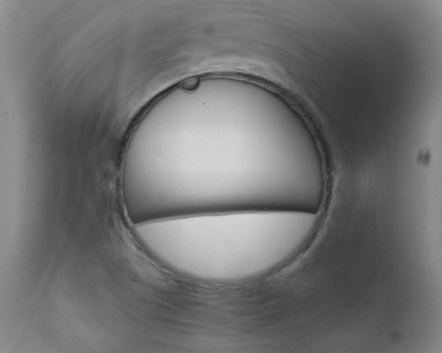 X0000110951505200906191102