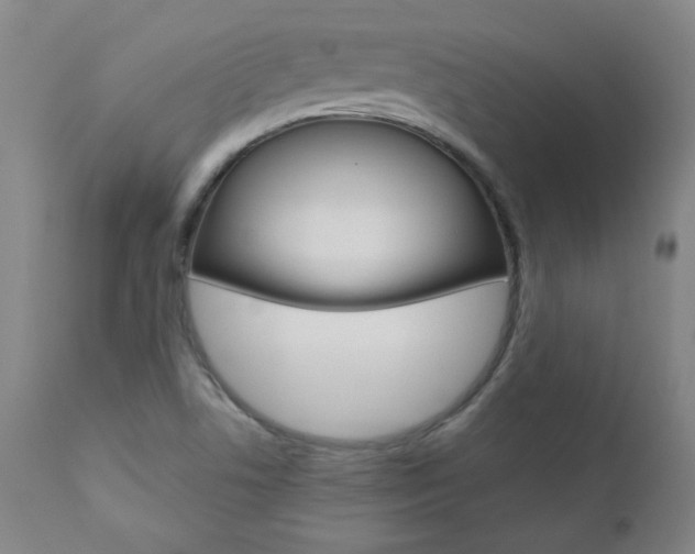X0000110951506200906191102