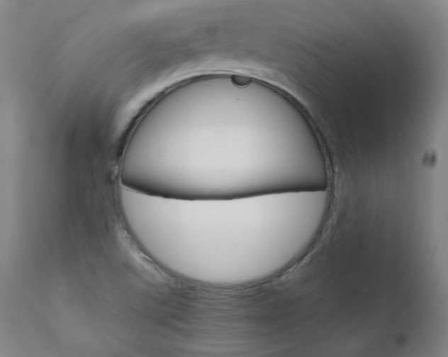 X0000110951507200906191102