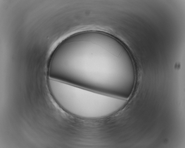 X0000110951508200906191102
