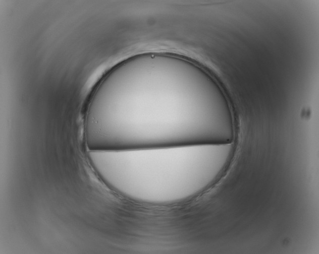 X0000110951509200906191102