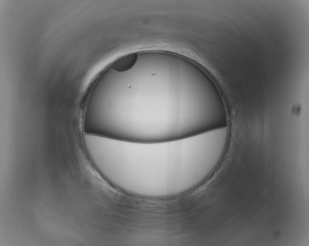 X0000110951510200906191102