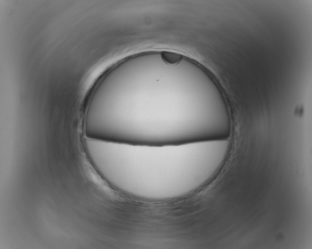 X0000110951511200906191102