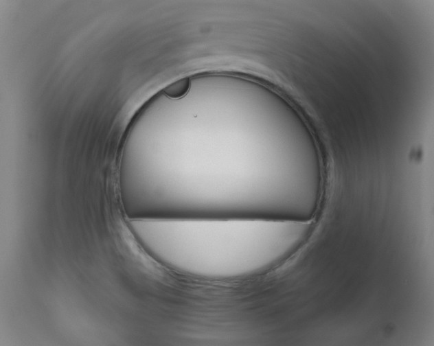 X0000110951513200906191102