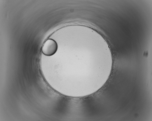 X0000110951514200906191102