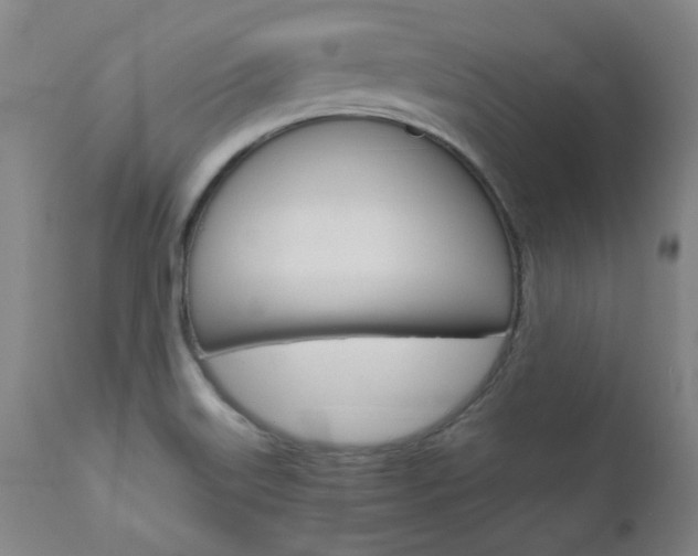 X0000110951515200906191102