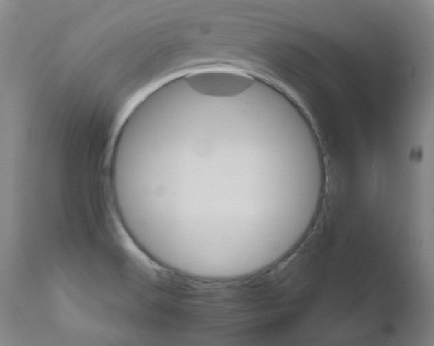 X0000110951516200906191102