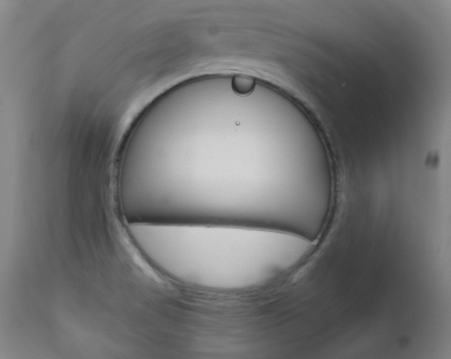 X0000110951517200906191102