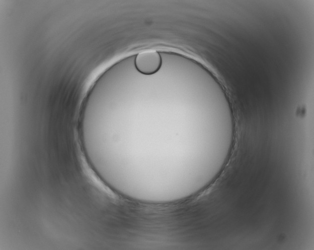 X0000110951518200906191102