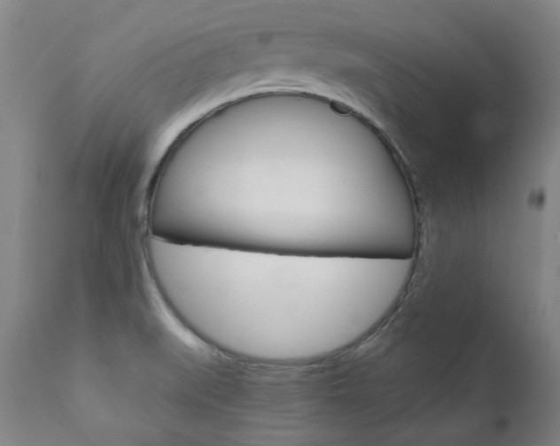 X0000110951519200906191102