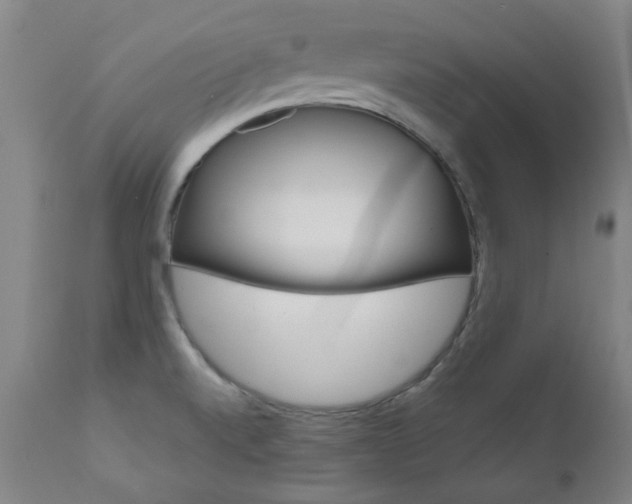 X0000110951520200906191102