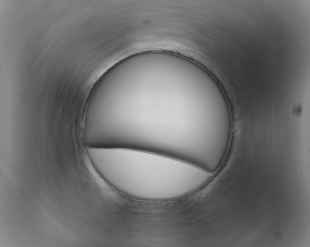 X0000110951521200906191102