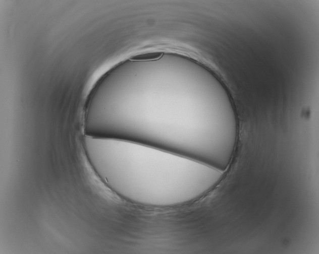 X0000110951522200906191102