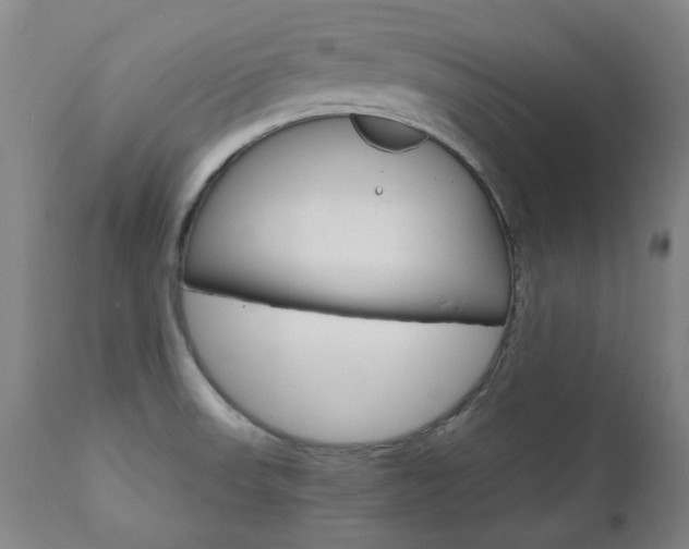 X0000110951523200906191102
