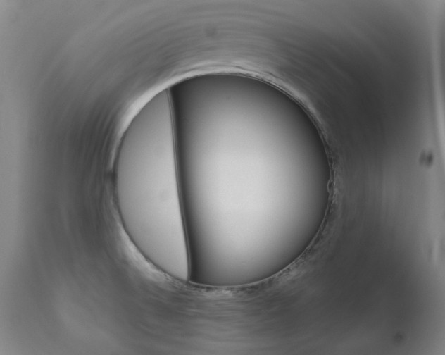 X0000110951524200906191102
