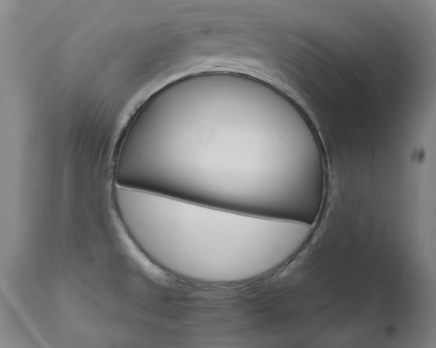 X0000110951525200906191102