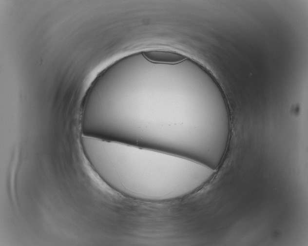 X0000110951526200906191102