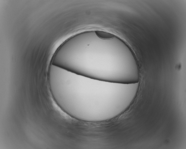 X0000110951527200906191102