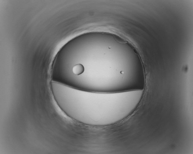 X0000110951528200906191102