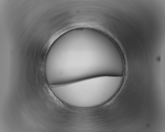 X0000110951529200906191102