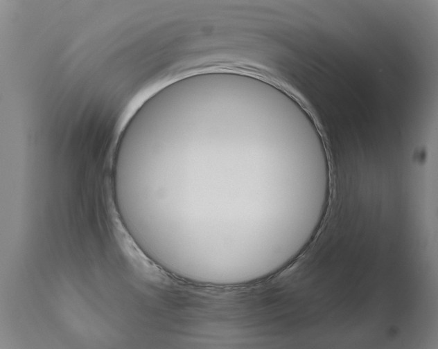 X0000110951530200906191102