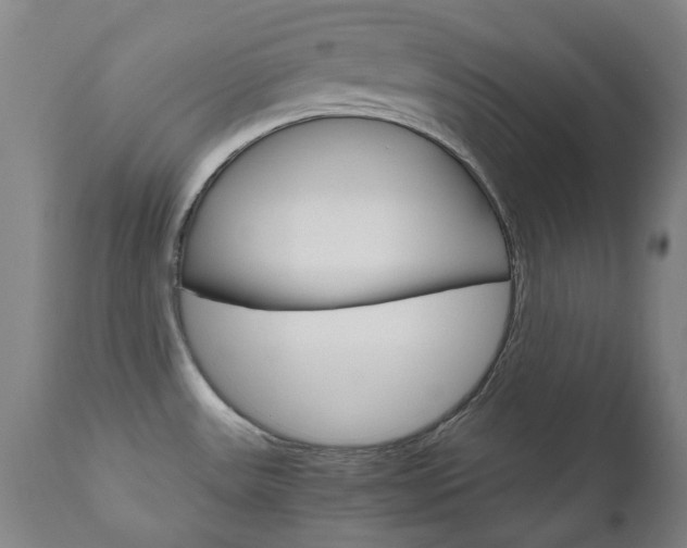 X0000110951531200906191102