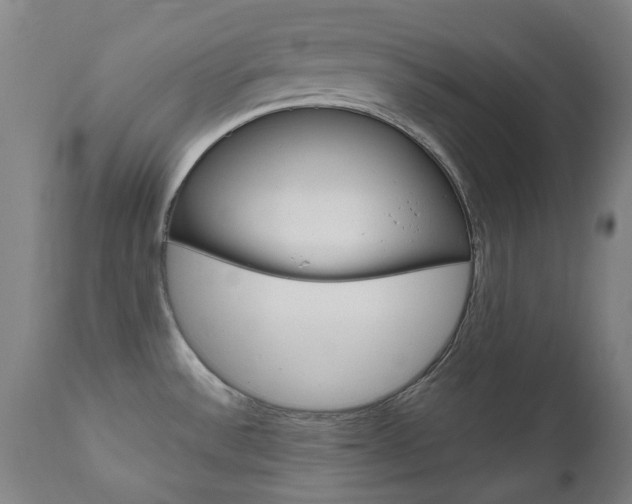 X0000110951532200906191102
