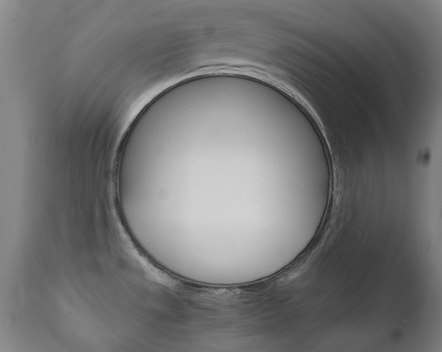 X0000110951533200906191102