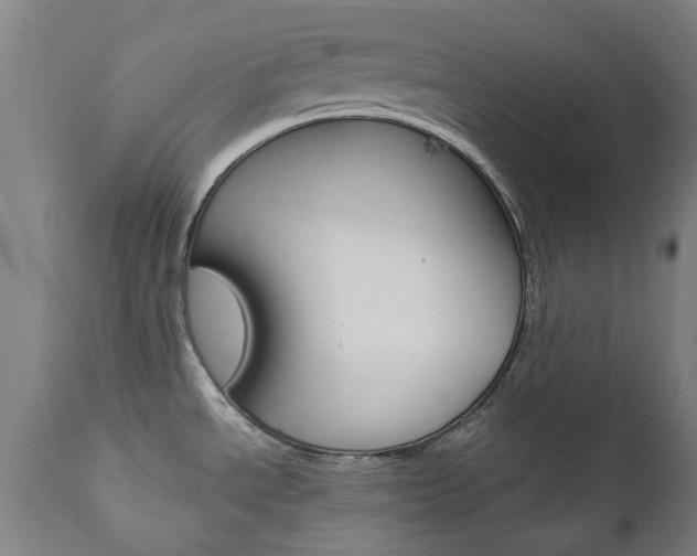 X0000110951534200906191102