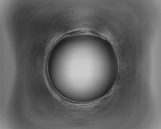 X0000110950001200906191300