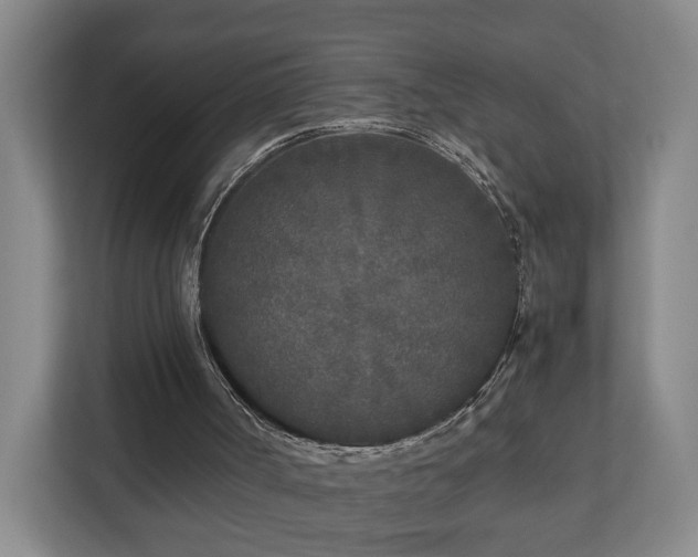 X0000110950002200906191300