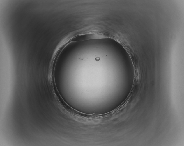 X0000110950004200906191300
