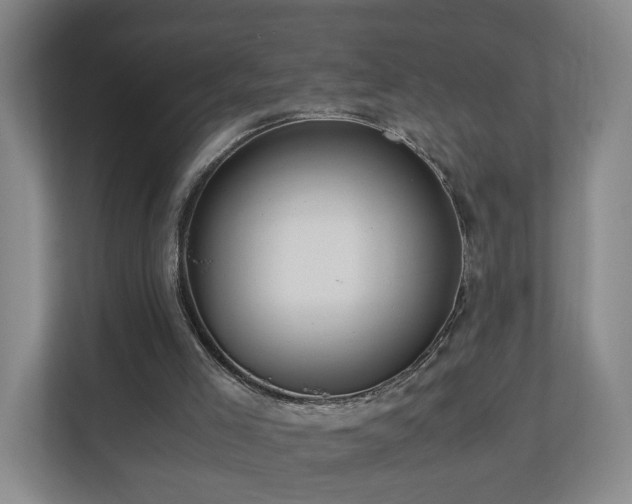 X0000110950005200906191300