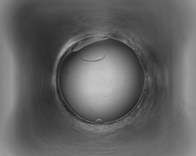 X0000110950006200906191300