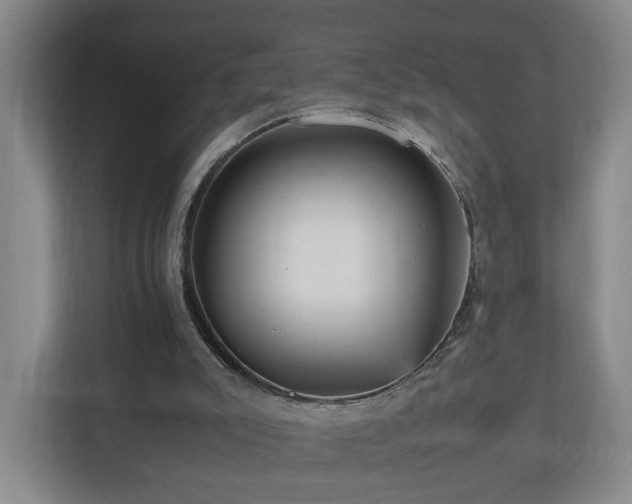 X0000110950007200906191300