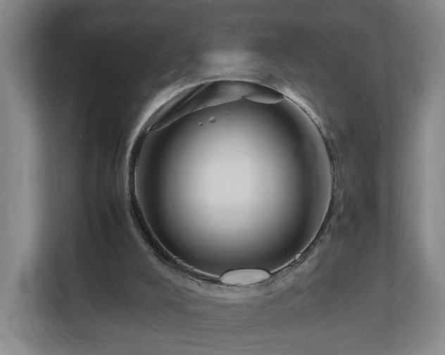 X0000110950008200906191300