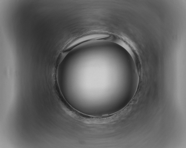 X0000110950009200906191300