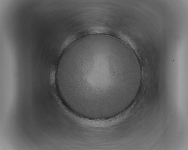 X0000110950010200906191300