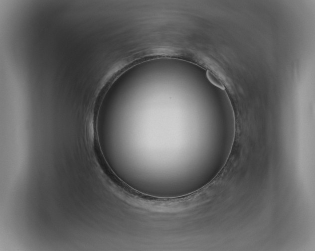 X0000110950011200906191300