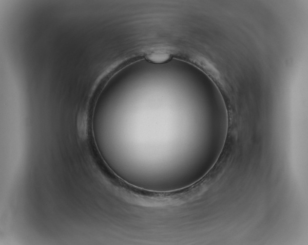X0000110950012200906191300