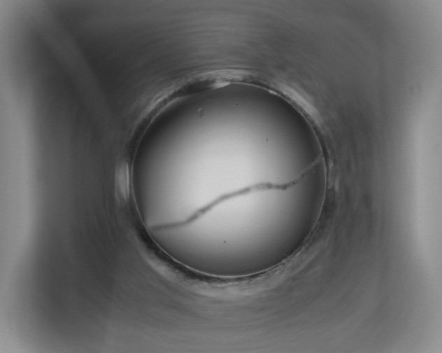X0000110950013200906191300