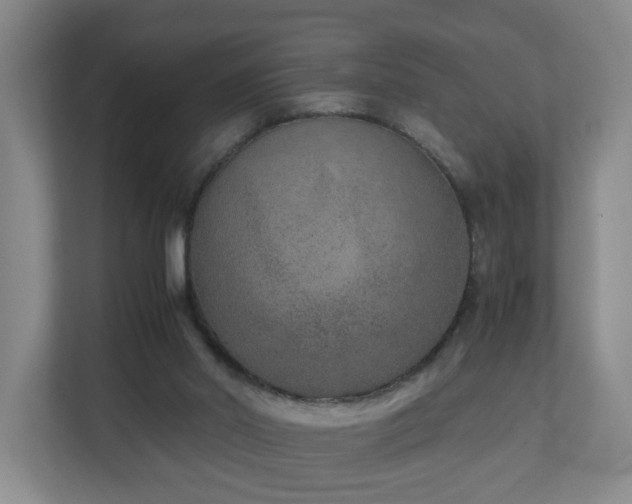 X0000110950014200906191300