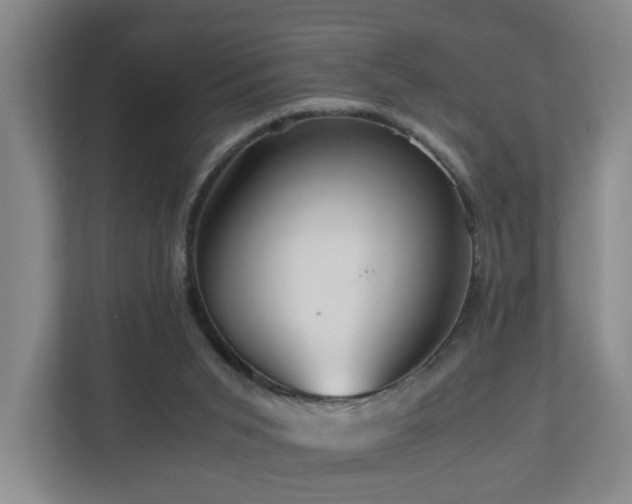 X0000110950015200906191300