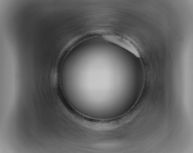 X0000110950016200906191300