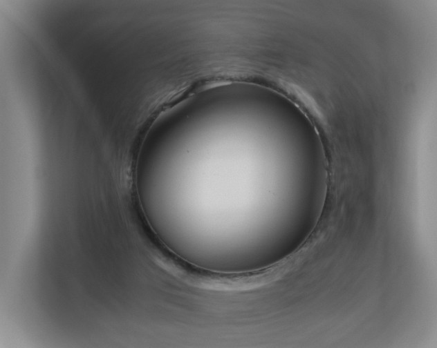 X0000110950017200906191300