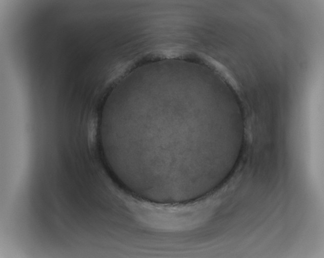 X0000110950018200906191300