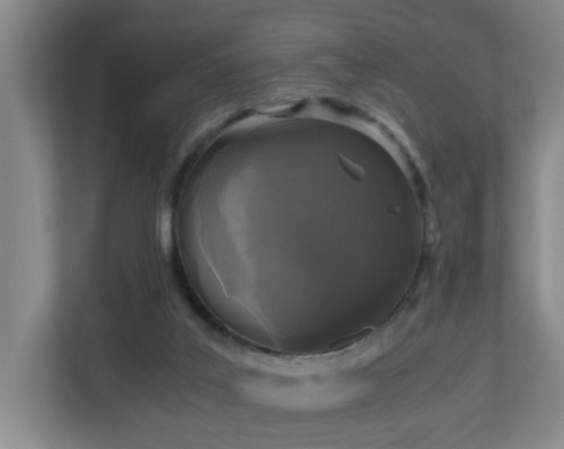 X0000110950019200906191300