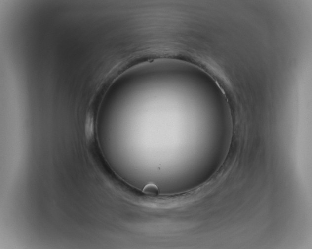 X0000110950021200906191259