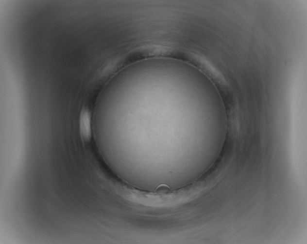X0000110950022200906191259