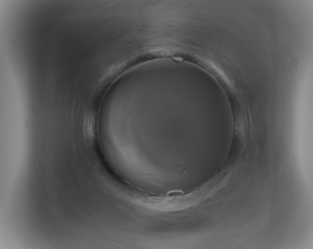 X0000110950023200906191259